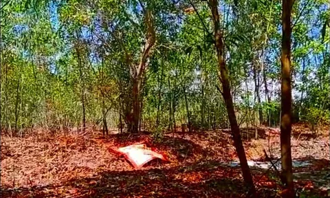 Điều tra vụ hai vợ chồng trẻ tử vong trên rẫy ở Quảng Trị