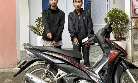 Bắt 2 đối tượng thực hiện hàng chục vụ trộm cắp liên tỉnh