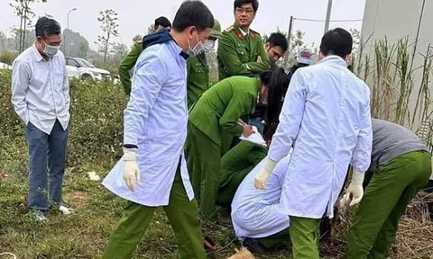 Phát hiện bộ xương người trong khu đô thị ở Thanh Hoá