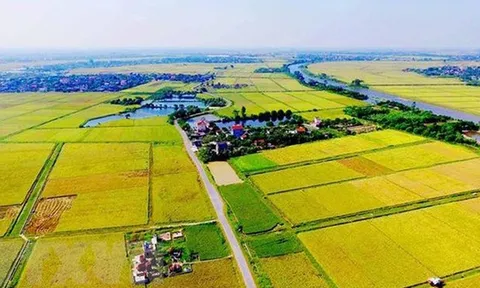 Hoàn thiện quy định về công nhận quyền đối với hộ gia đình, cá nhân không có giấy tờ về quyền sử dụng đất