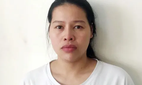 Nữ cộng tác viên công ty môi giới lao động chiếm đoạt tiền tỷ