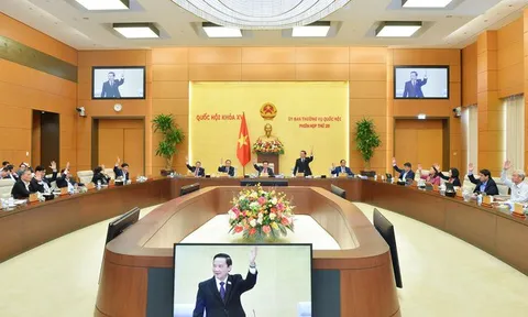 Xem xét, thông qua dự thảo Pháp lệnh Xử phạt vi phạm hành chính trong lĩnh vực kiểm toán nhà nước