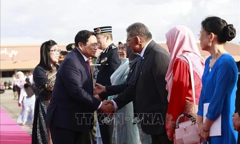 Chuyến thăm Singapore và Brunei của Thủ tướng Phạm Minh Chính đạt kết quả rất toàn diện, thực chất và cụ thể
