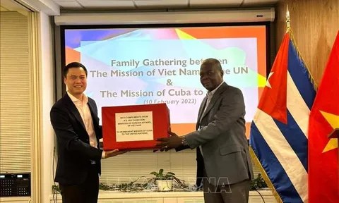Việt Nam luôn trân trọng mối quan hệ hữu nghị đặc biệt với Cuba