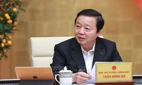 Khẩn trương hoàn thiện hai nghị định quan trọng về đất đai và lấn biển