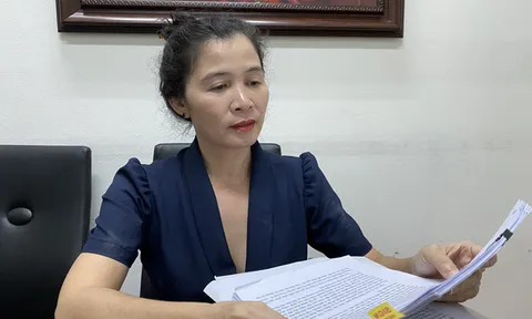 Khởi tố, bắt tạm giam nhà báo Hàn Ni