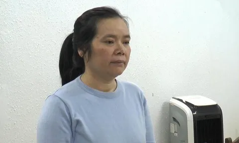 Khởi tố nữ giám đốc đưa nhiều người trốn đi nước ngoài bằng visa du lịch