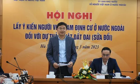 Kiều bào đóng góp ý kiến đối với dự thảo Luật Đất đai (sửa đổi)