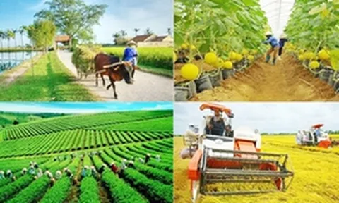 Chỉ đạo, điều hành của Chính phủ, Thủ tướng Chính phủ ngày 8/3