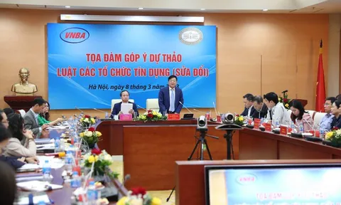 Bảo đảm hệ thống phát triển lành mạnh, bền vững khi sửa Luật Các TCTD