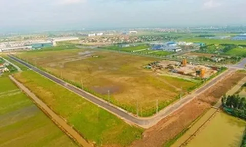 Thông tin chỉ đạo, điều hành của Chính phủ, Thủ tướng Chính phủ ngày 9/3