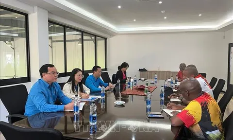 Việt Nam, Nam Phi trao đổi kinh nghiệm và mở rộng hợp tác công đoàn