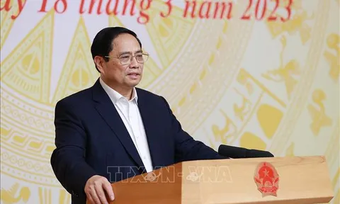 Thủ tướng chủ trì hội nghị về phát huy hiệu quả hoạt động của các tập đoàn, tổng công ty nhà nước