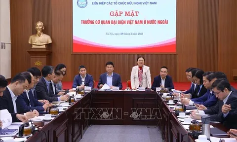 Phối hợp thúc đẩy hơn nữa công tác đối ngoại nhân dân