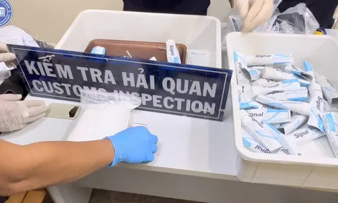 Căn cứ pháp lý nào để trả tự do cho 4 tiếp viên hàng không trong vụ 4 vali có chứa ma túy?