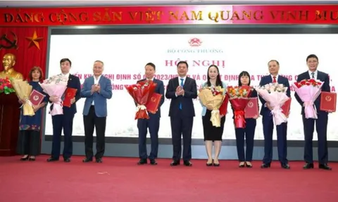 Triển khai Nghị quyết, quyết định của Chính phủ, Thủ tướng Chính phủ về công tác tổ chức, cán bộ