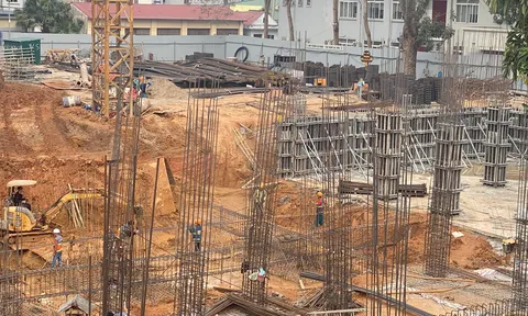 Cần làm rõ dấu hiệu gian lận HSDT để trúng thầu của liên danh công ty Đông An
