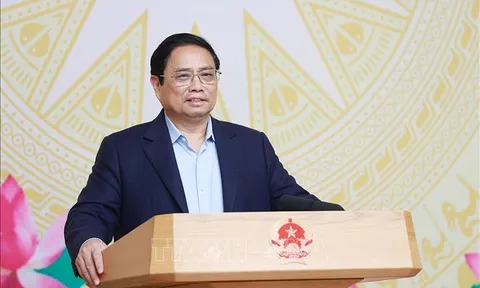 Kế hoạch hoạt động của Ủy ban Quốc gia về chuyển đổi số năm 2023
