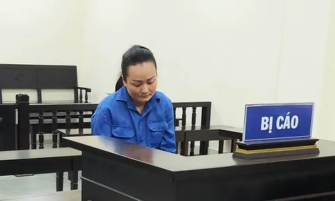 Nữ giám đốc lĩnh án 10 năm tù vì lừa đảo đi du học nước ngoài