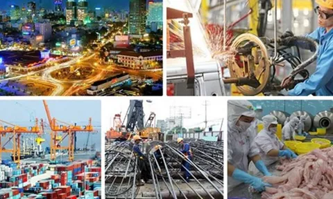 Nỗ lực phấn đấu cao nhất thực hiện các mục tiêu, nhiệm vụ phát triển kinh tế - xã hội đã đề ra