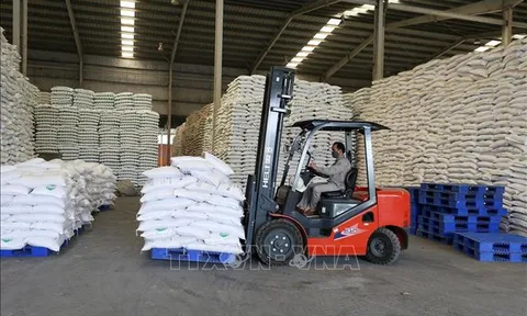 Những chỉ đạo, điều hành của Chính phủ, Thủ tướng Chính phủ nổi bật tuần từ 10 - 14/4