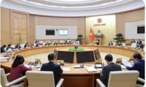 TOÀN VĂN: Nghị định số 12/2023/NĐ-CP về gia hạn thời hạn nộp thuế và tiền thuê đất năm 2023