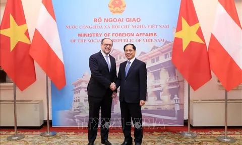 Tăng cường quan hệ hữu nghị và hợp tác Việt Nam - Áo