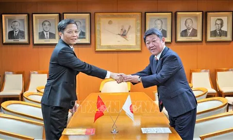 50 năm quan hệ Việt Nam - Nhật Bản: Thúc đẩy quan hệ đối tác chiến lược sâu rộng