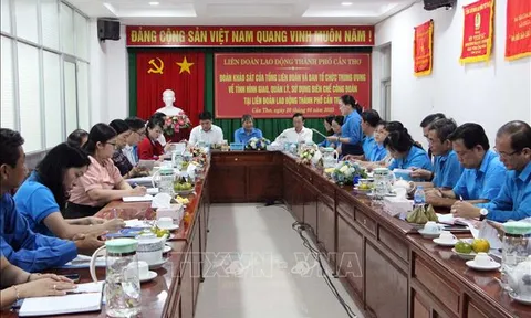 Tháo gỡ vướng mắc trong quản lý, sử dụng biên chế Công đoàn
