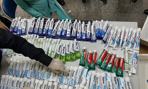 Vụ án vận chuyển ma túy tại sân bay Tân Sơn Nhất: Đã khởi tố 22 vụ án, 65 bị can