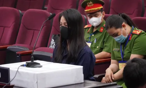 Đình chỉ xét xử phúc thẩm đối với “dì ghẻ” Nguyễn Võ Quỳnh Trang