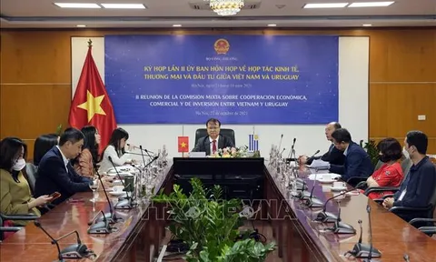 Thiết thực kỷ niệm 30 năm thiết lập quan hệ ngoại giao Việt Nam-Uruguay