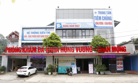 Nữ hộ lý ở Phú Thọ bỏ chất độc vào thức ăn thừa đối diện với mức án nào?