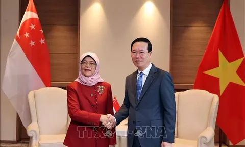 Chủ tịch nước Võ Văn Thưởng tiếp Tổng thống Singapore