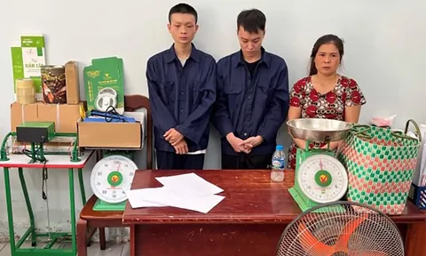 Triệt phá đường dây trồng, tiêu thụ cần sa quy mô lớn ở TP.HCM