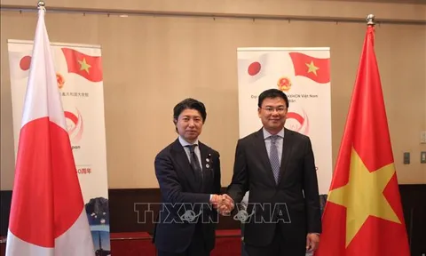 50 năm quan hệ Việt Nam - Nhật Bản: Lễ hội Việt Nam tại Nhật Bản sẽ diễn ra vào đầu tháng 6