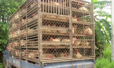 Chỉ đạo, điều hành của Chính phủ, Thủ tướng Chính phủ nổi bật tuần từ 15-19/5/2023