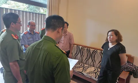 Đồng Nai: Bắt tạm giam nữ giám đốc trốn thuế hơn 3,5 tỷ đồng