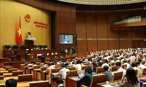 Xử lý hành vi gây lãng phí nghiêm khắc như xử lý tham nhũng