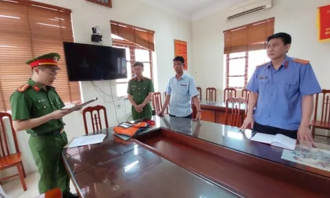 Khởi tố một giám đốc doanh nghiệp khai thác đất trái phép ở Bắc Giang