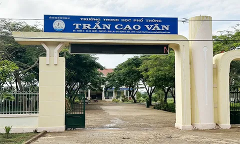 Tạm giữ hình sự nữ thủ quỹ tham ô hơn 450 triệu đồng của trường học