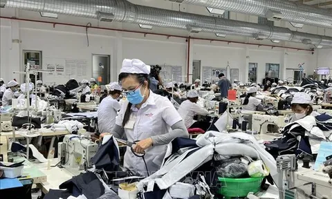 Những chỉ đạo, điều hành của Chính phủ, Thủ tướng Chính phủ nổi bật tuần từ 22 - 26/5