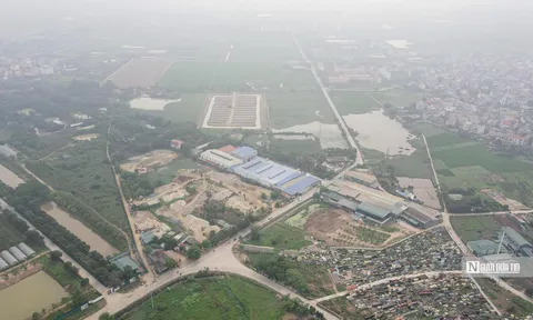 Hà Nội yêu cầu xử lý dứt điểm vi phạm đất nông nghiệp