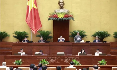 Giám sát việc huy động, quản lý, sử dụng các nguồn lực phục vụ phòng, chống dịch COVID-19