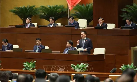 Thông cáo báo chí số 10, Kỳ họp thứ 5, Quốc hội khóa XV