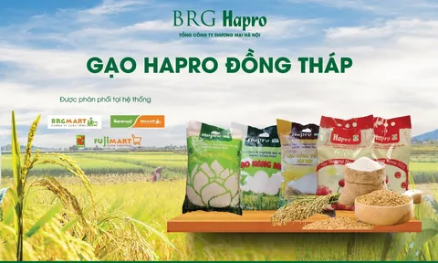 Gạo HAPRO Đồng Tháp - Tự hào thương hiệu quốc gia
