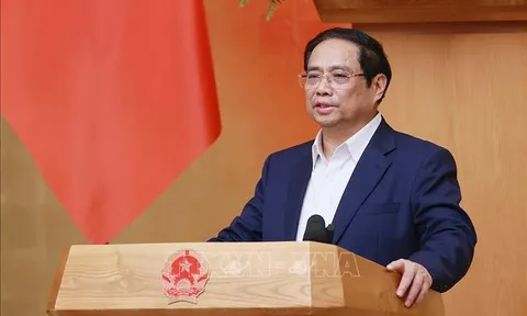 Thủ tướng chủ trì Phiên họp Chính phủ thường kỳ trực tuyến với các địa phương