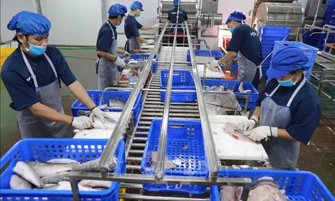 Đẩy mạnh chuyển đổi số trong khu vực kinh tế hợp tác, hợp tác xã
