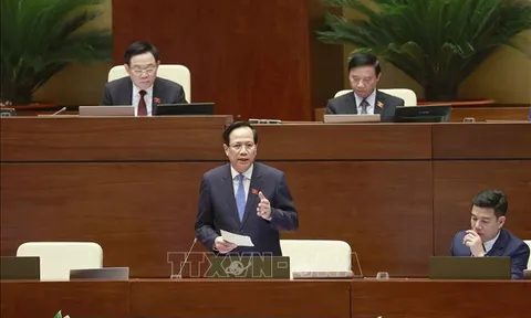Hình thức giám sát tối cao trực tiếp, hiệu quả