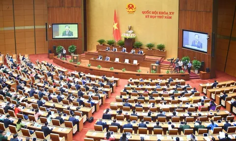Sớm trình giải pháp về thuế tối thiểu toàn cầu